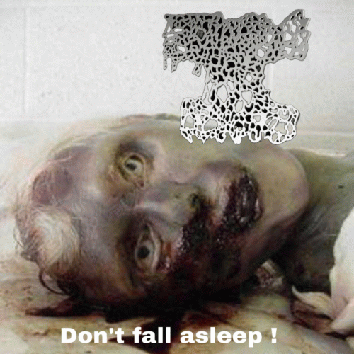 Death By Hornets : Don't Fall Asleep !